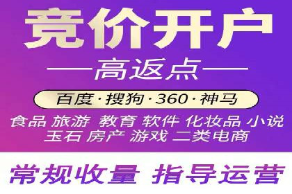 SEM推广优化策略：成功案例解析